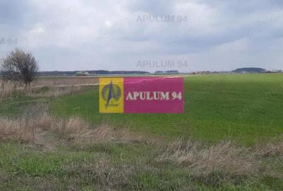 Teren de 5110 mp, în 1 Decembrie - 19