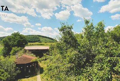 Casă cu 5 camere cu Teren 733 Mp în Luna - 21