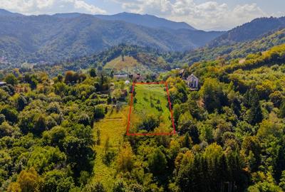 COMISION 0% Teren 2700mp / Strada Coltul Putinarilor/Poiana Brasov - 3