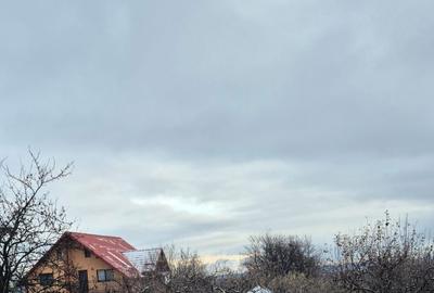 Spațiu comercial, în Filioara - 1