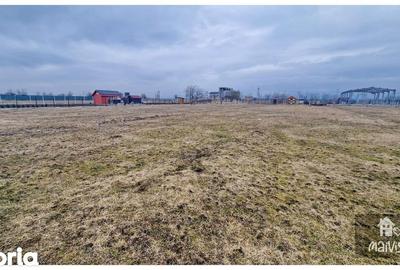 Teren de 2300 mp, în Sânpetru - 6