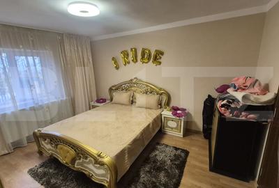 Casa cu 2 camere, 65 mp, teren 2910 mp, in Viile Satu Mare - 14