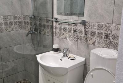 Garsonieră decomandată în Zimandcuz - 7