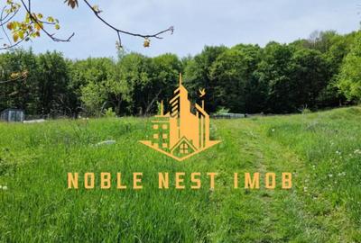 Teren extravilan 2200 mp - Budeasa Mica, Arge?, COMISION 0. - 6