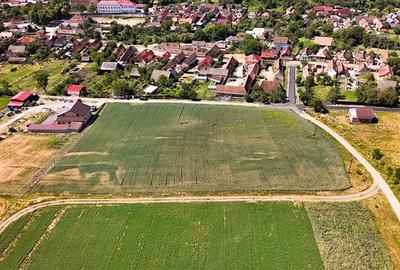 6 loturi casa Maierus,1.375mp,langa DN13, Doripesco,Brasov: 35min, zona verde:FI - 11