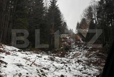 Teren de 4000 mp, în Calea Moroieni - 8