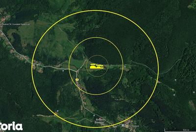 Teren de 6000 mp, în Vețel - 3