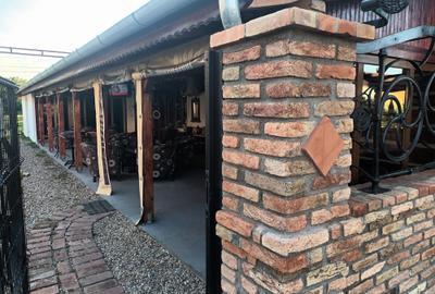 AFACERE SAU CASA DE VANZARE IN COMLOSU MIC AFACERE SAU CASA DE VANZARE IN COMLOSU MIC - 2