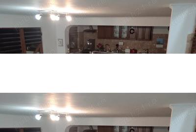 Casă cu Teren 756 Mp în Berceni - 4