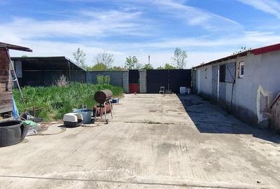 Casă cu Teren 1400 Mp în Tormac - 9
