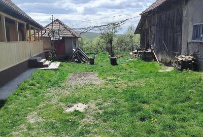 Casă cu Teren 3800 Mp în Rediu