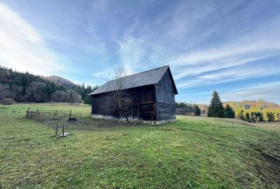 De vanzare 6850 mp pasune langa Manastirea Doroteia - Frasin /Plutonita - 3