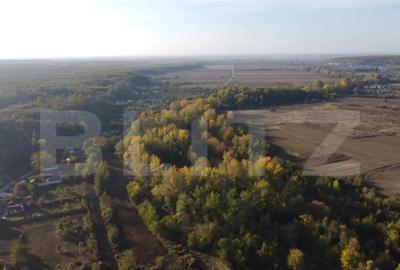 Casă cu 2 camere cu Teren 1000 Mp în Central - 13