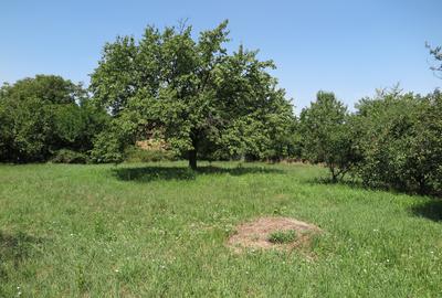 Teren de 17777 mp, în Central - 5