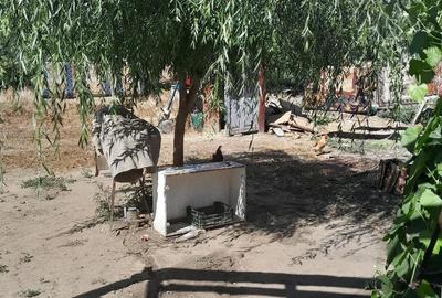 Casă cu 3 camere cu Teren 1600 Mp în Traian - 2