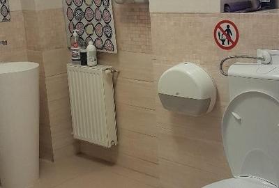 Piata Muncii –Calea Calarasilor,vila 12 camere, suprafata 370mp,curte 150mp - 9