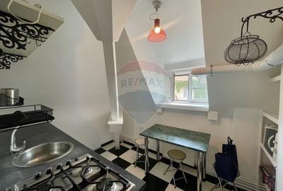 Apartament (in vila) de inchiriat in zona Capitale - 6