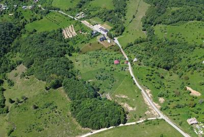 Teren intravilan de vanzare 12,700mp Codru Butesii / Stra... - 4