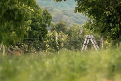 Teren agricol intravilan de 7603 mp, în Delenii - 13