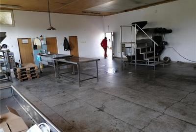 Spațiu comercial, de 470 mp, în Manoleasa - 2