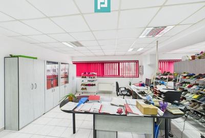 Hală de producție, cu birouri și teren, în Sebiș - 32