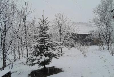 Casă cu 3 camere în Amnaș - 7