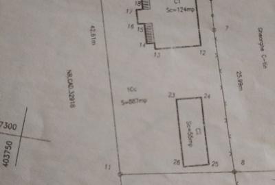 Casă cu 4 camere în Cornetu - 3