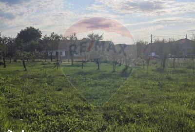 Casă cu 7 camere cu Teren 1439 Mp în Darova - 6