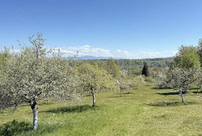 Teren de 4193 mp, în Breb - 1