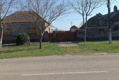 Casă cu Teren 2200 Mp în Cebza - 2