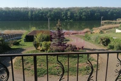 Branesti - Vila de vanzare - 7