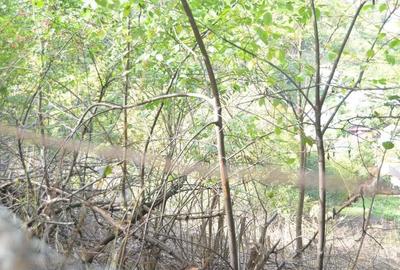 Teren intravilan Brasov-Schei - 4