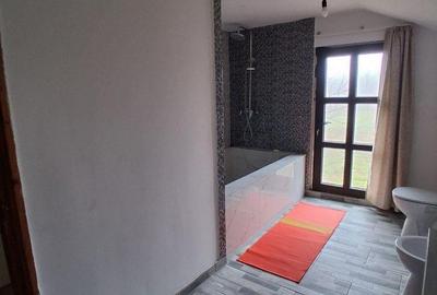 Casă cu 4 camere cu Teren 3361 Mp în Mihăilești - 3