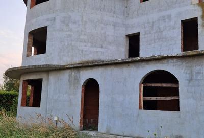 Casă cu 4 camere în Zimandu Nou - 2