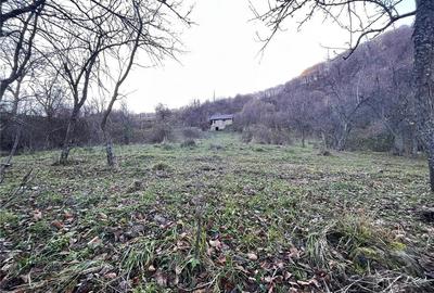 Teren de 30000 mp, în Cornereva - 6