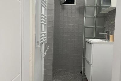 Apartament 2 camere Calea Floreasca Apartament 2 camere Calea Floreasca - 11