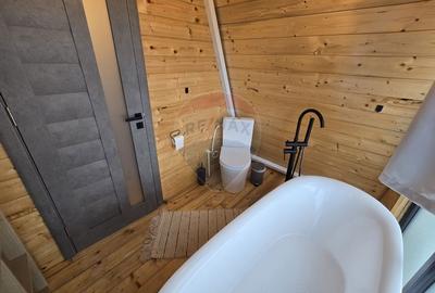 Proprietate Speciala in Gura Raului, Sibiu - Doua Cabane A-Frame - 9