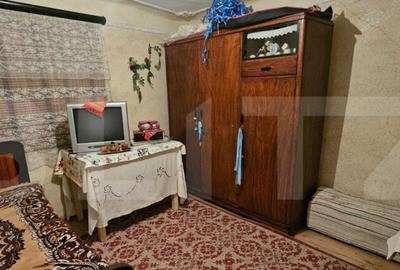 Casa rustica de vacanta (62mp) in sat Magura cu 1000mp teren - 35