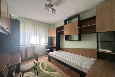 Apartament cu 3 camere decomandat în Paltiniș - 5
