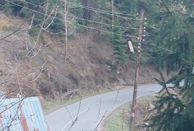 Teren Construcții intravilan de 10000 mp, în Albac - 6