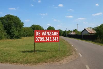 Ocazie! Teren intravilan ,ideal pentru casa ,imprejmuit(Ialomita) - 2