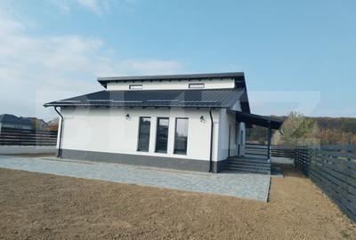 Vila individuala pe parter Priseaca - 4