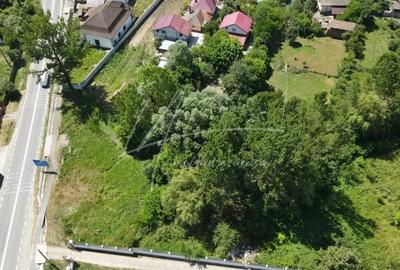 Teren cu poten?ial de dezvoltare 614 mp in com Mihae?ti, jud Valcea - 3