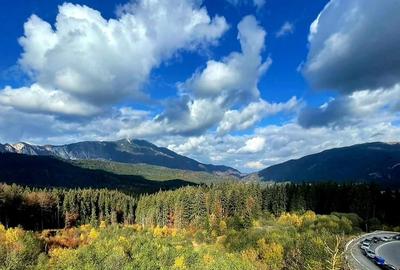 Casă individuală cu 20 camere cu Canalizare în Cioplea - 4