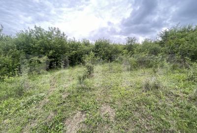 Teren extravilan 5200 mp Budacul de Jos- Investi?ie ex - 2