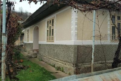 Casa cu anexe de vanzare - 3