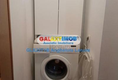 Drumul Taberei Targul Neamt apartament 2 camere de inchiriat - 9