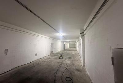 Spațiu industrial, de 5,000 mp, în Glina