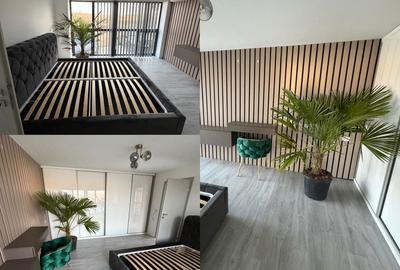 Apartament cu 2 camere semidecomandat în Băile Felix - 6