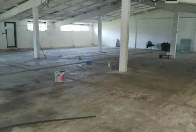 Inchiriere spatiu depozitare 440mp Silistea Snagovului - 1